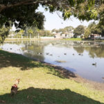 Terreno à venda no condomínio Terras de Santa Rosa II, Salto - SP