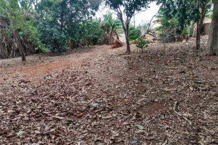 Terreno à venda em Vila Judite, Itapetininga, SP