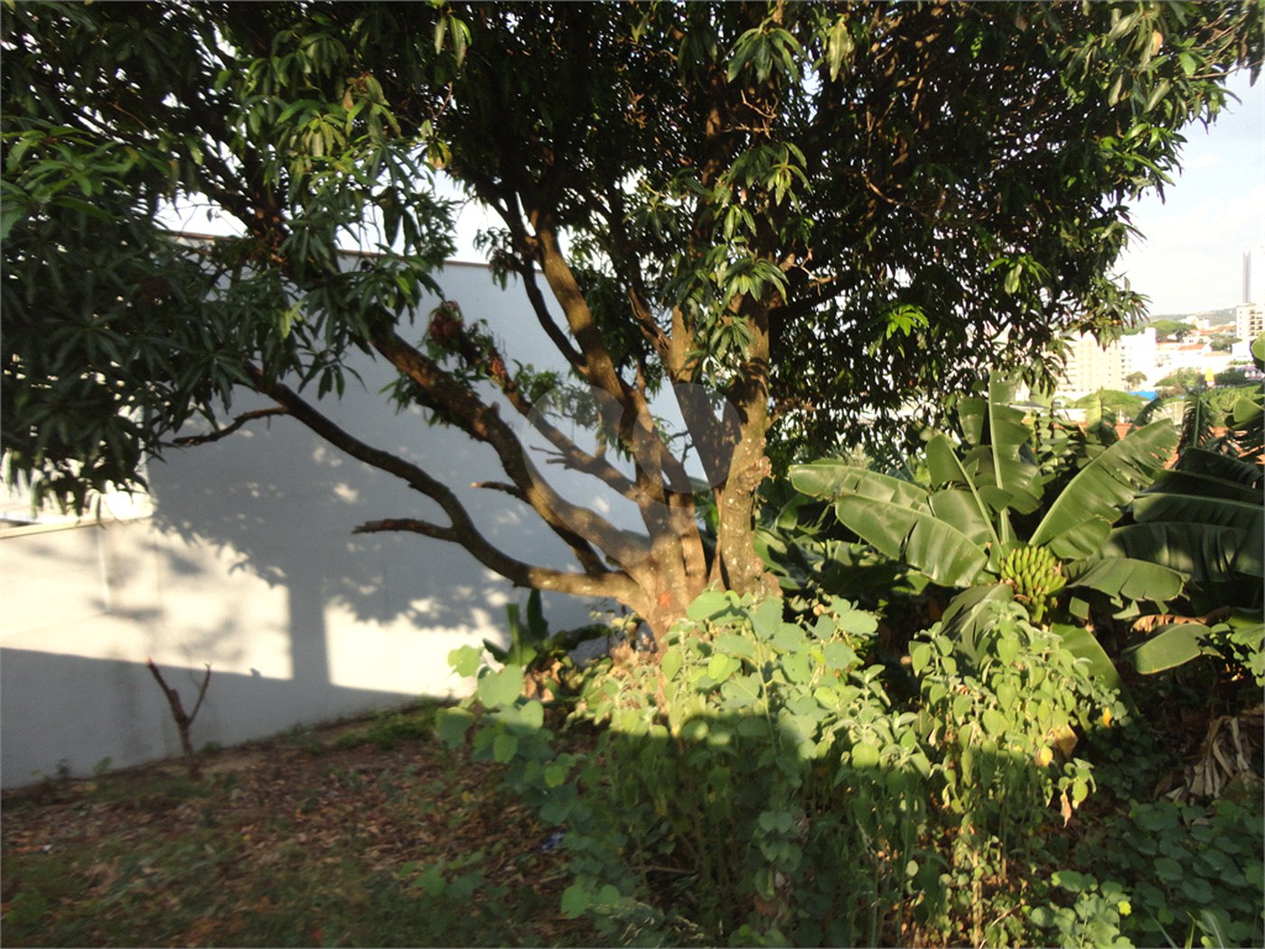 Terreno à venda em Vila São José, Valinhos, SP
