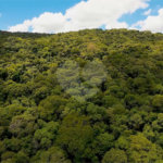 Terreno à venda em Gabriel Piza, São Roque, SP