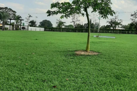 Rancho com 12 dormitórios à venda, 63000 m² por R$ 7.500.000,00 - Condomínio Haras Paineiras - Salto/SP