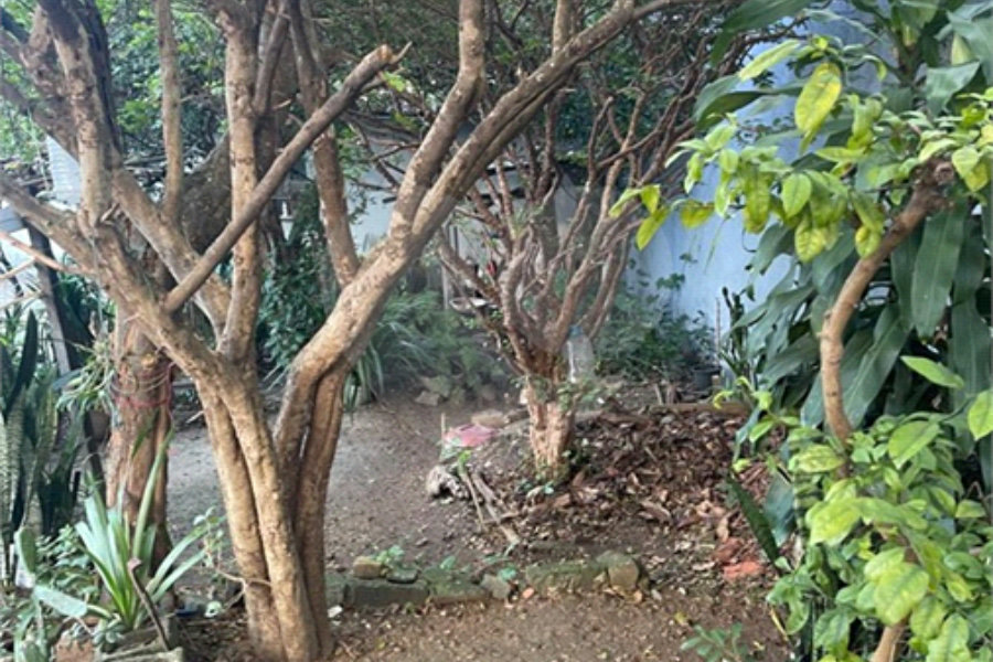 Terreno à venda em Tucuruvi, São Paulo, SP