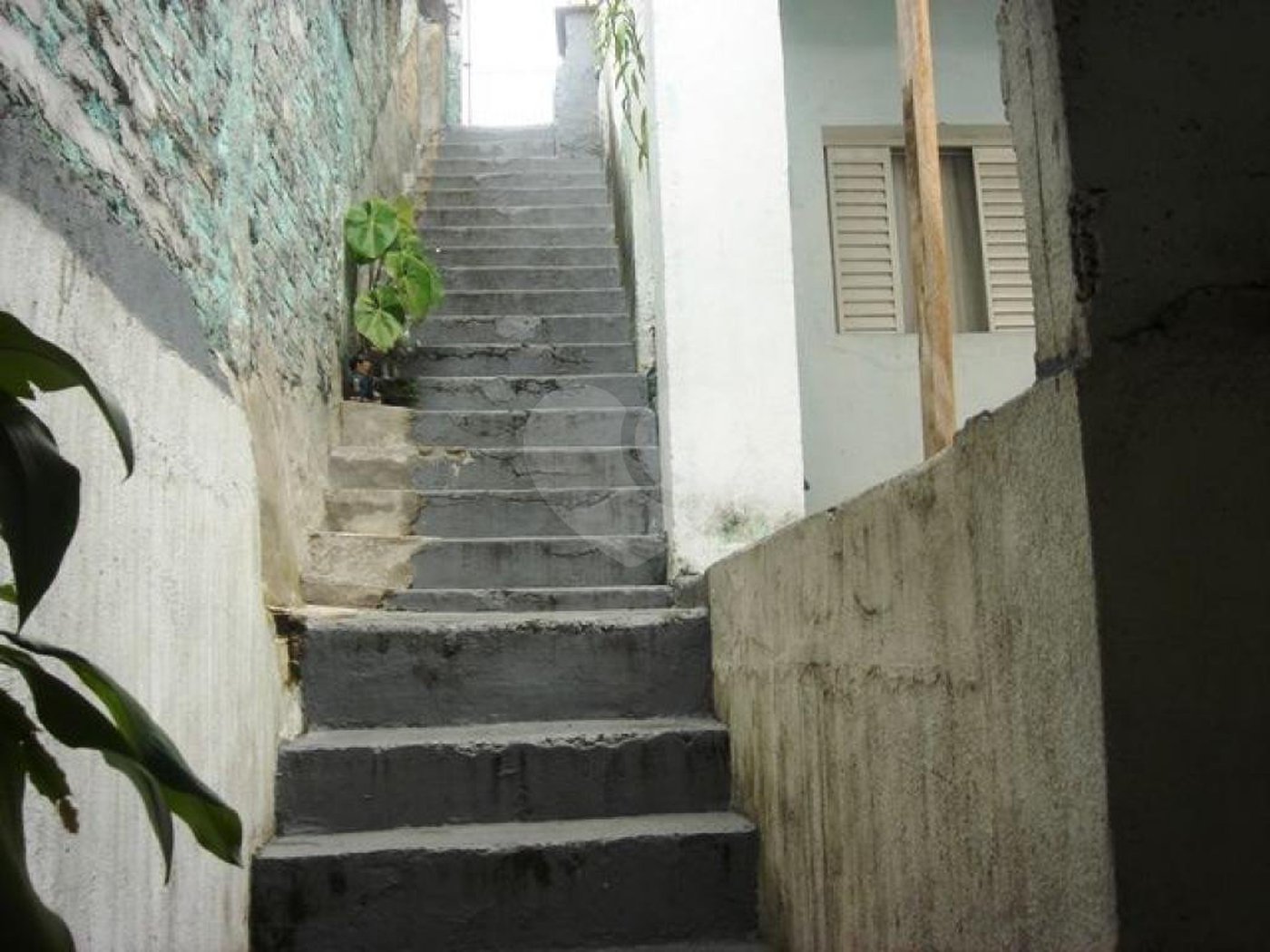 Casa Térrea à venda com 3 quartos em Vila Nova Cachoeirinha, São Paulo, SP