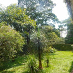Casa Térrea à venda com 3 suítes em Jardim Prudência, São Paulo, SP