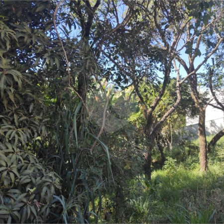 Terreno à venda em Jardim Paulista, Atibaia, SP