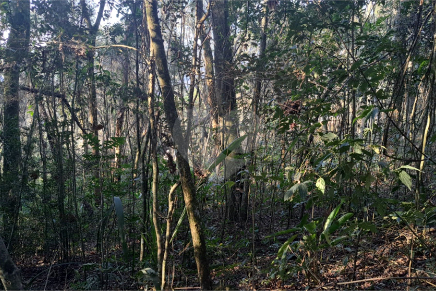 Terreno à venda em Serra da Cantareira, Mairiporã, SP