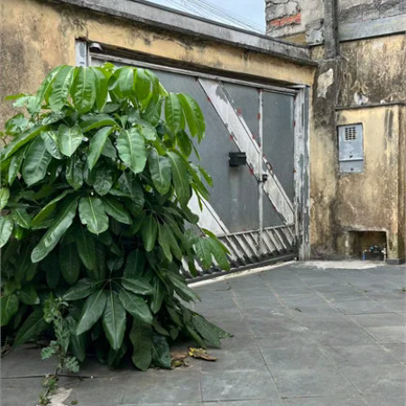 Casa Térrea à venda com 3 quartos em Jardim Dom José, São Paulo, SP