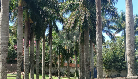 Casa à venda com 3 suítes em Jardim Haras Bela Vista, Vargem Grande Paulista, SP