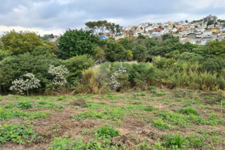 Terreno à venda em Bosque, Vinhedo, SP