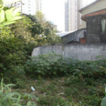 Terreno à venda ou para alugar em Água Fria, São Paulo, SP