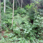 Terreno à venda no condomínio Sausalito, Mairiporã - SP