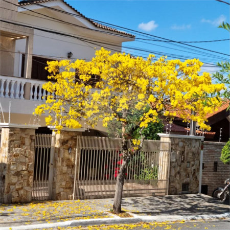Casa à venda ou para alugar com 3 suítes em Parque Campolim, Sorocaba, SP