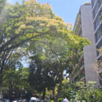Loja à venda ou para alugar em Cidade Jardim, São Paulo, SP