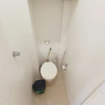 Apartamento à venda com 2 quartos em Rio Comprido, Rio de Janeiro, RJ