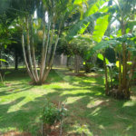 Casa à venda ou para alugar com 2 quartos, sendo 1 suíte,  em Vila Novo Horizonte, Itapetininga, SP