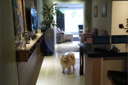 Apartamento à venda com 3 quartos, sendo 2 suítes, em Vila Leonor, São Paulo, SP