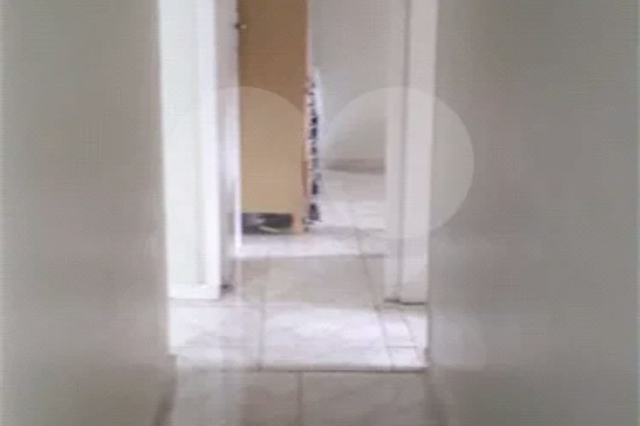 Apartamento à venda com 3 quartos em Jaçanã, São Paulo, SP