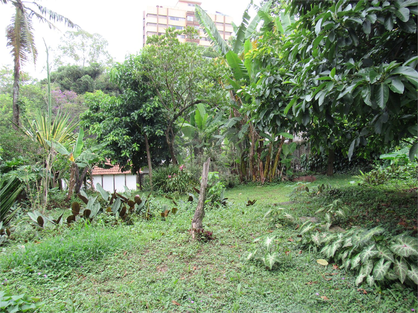 Sobrado à venda com 3 quartos em Tremembé, São Paulo, SP