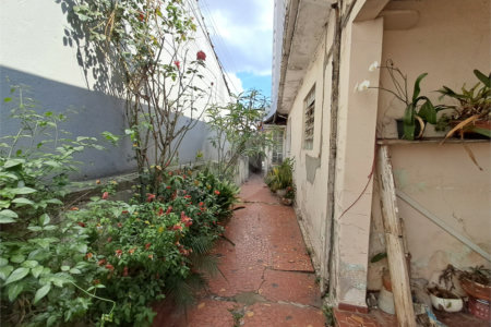 Casa à venda com 3 quartos em Vila Gustavo, São Paulo, SP