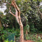 Casa à venda ou para alugar com 4 quartos, sendo 3 suítes, no condomínio Villaggio DI San Francesco, Jundiaí - SP