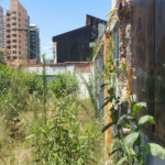 Terreno à venda ou para alugar em Chácara Santo Antônio, São Paulo, SP