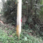 Terreno à venda em Serra da Cantareira, Mairiporã, SP