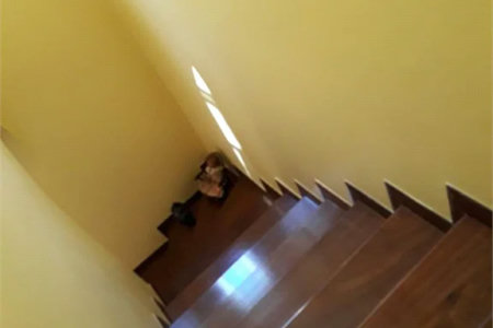 Sobrado à venda com 4 quartos, sendo 1 suíte, em Rio Pequeno, São Paulo, SP