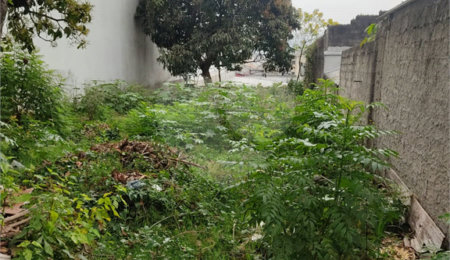 Terreno à venda em Vila Constança, São Paulo, SP