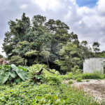 Terreno à venda em Tremembé, São Paulo, SP