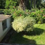Casa à venda com 2 quartos em Jardim Paulistano, Sorocaba, SP