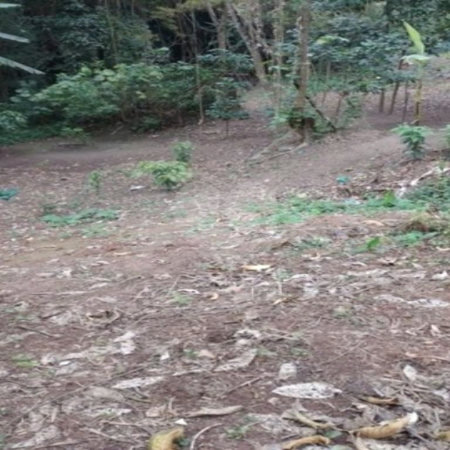Terreno à venda em Jardim Ampliação, São Paulo, SP