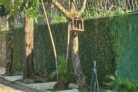 Terreno à venda em Vila Tramontano, São Paulo, SP