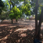 Terreno à venda em Jardim Maria Antônia Prado, Sorocaba, SP