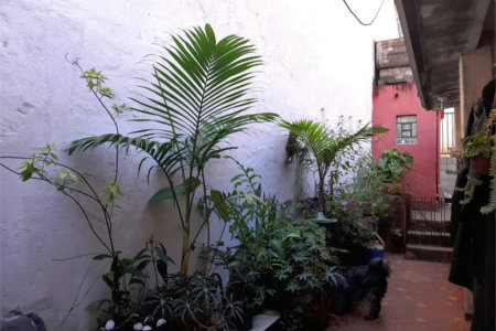 Casa à venda com 4 quartos em Vila Ipojuca, São Paulo, SP