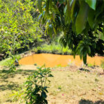 Chácara à venda com 7 quartos, sendo 3 suítes, em Parque Caetê, Bragança Paulista, SP