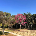 Terreno em condomínio à venda em Porto, Capela do Alto, SP