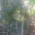 Terreno à venda em Dos Finco, São Bernardo do Campo, SP