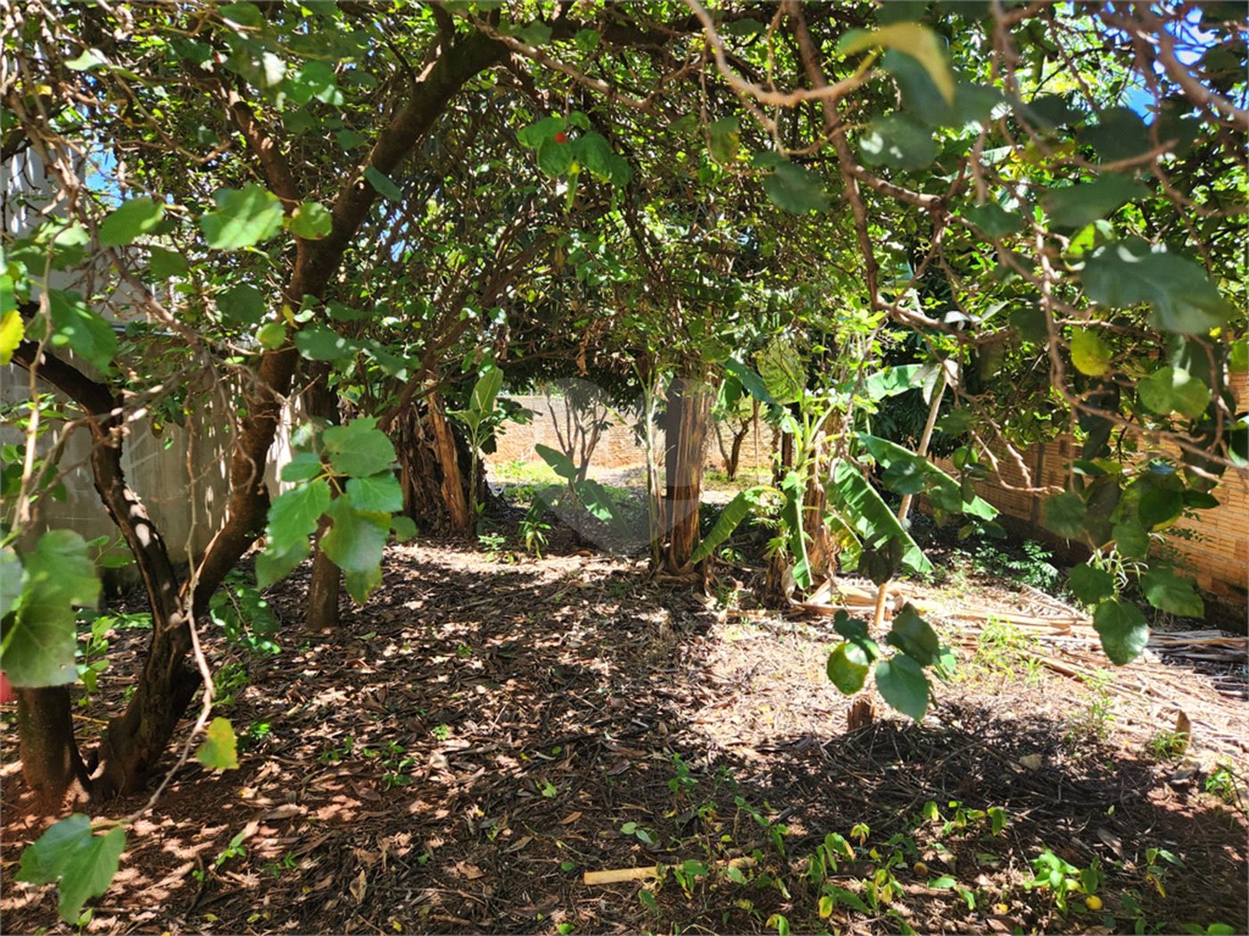 Terreno à venda em Vila Harmonia, Araraquara, SP