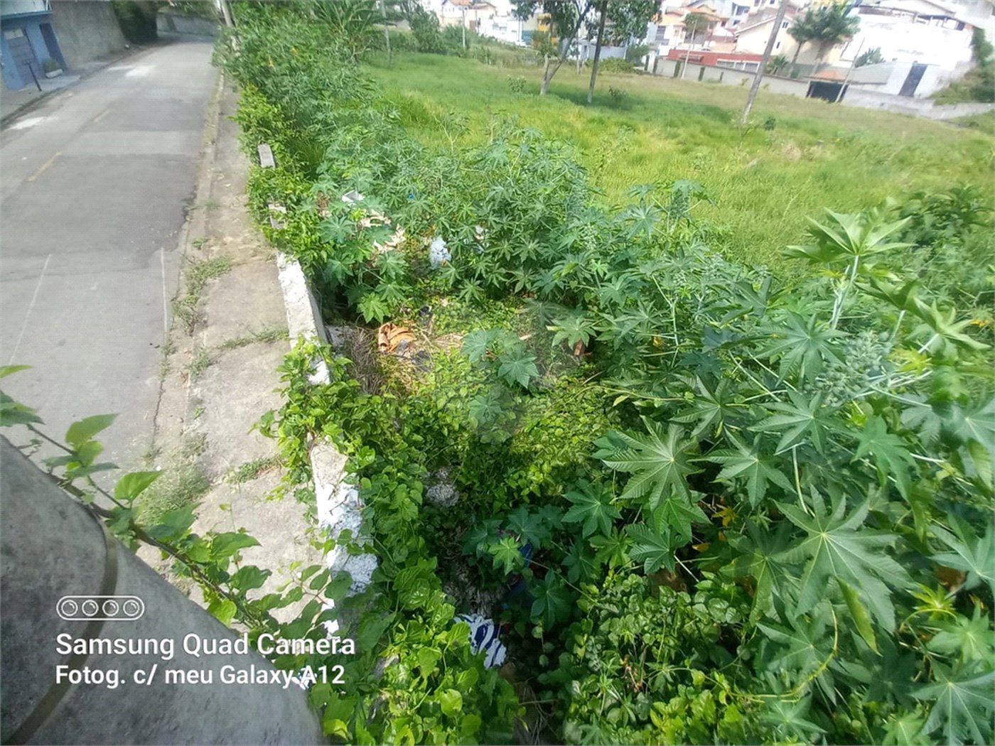 Terreno à venda em Vila Oliveira, Mogi das Cruzes, SP