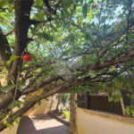 Casa à venda, com 3 quartos (1 suíte com closet) no bairro Caxambú – Piracicaba-SP