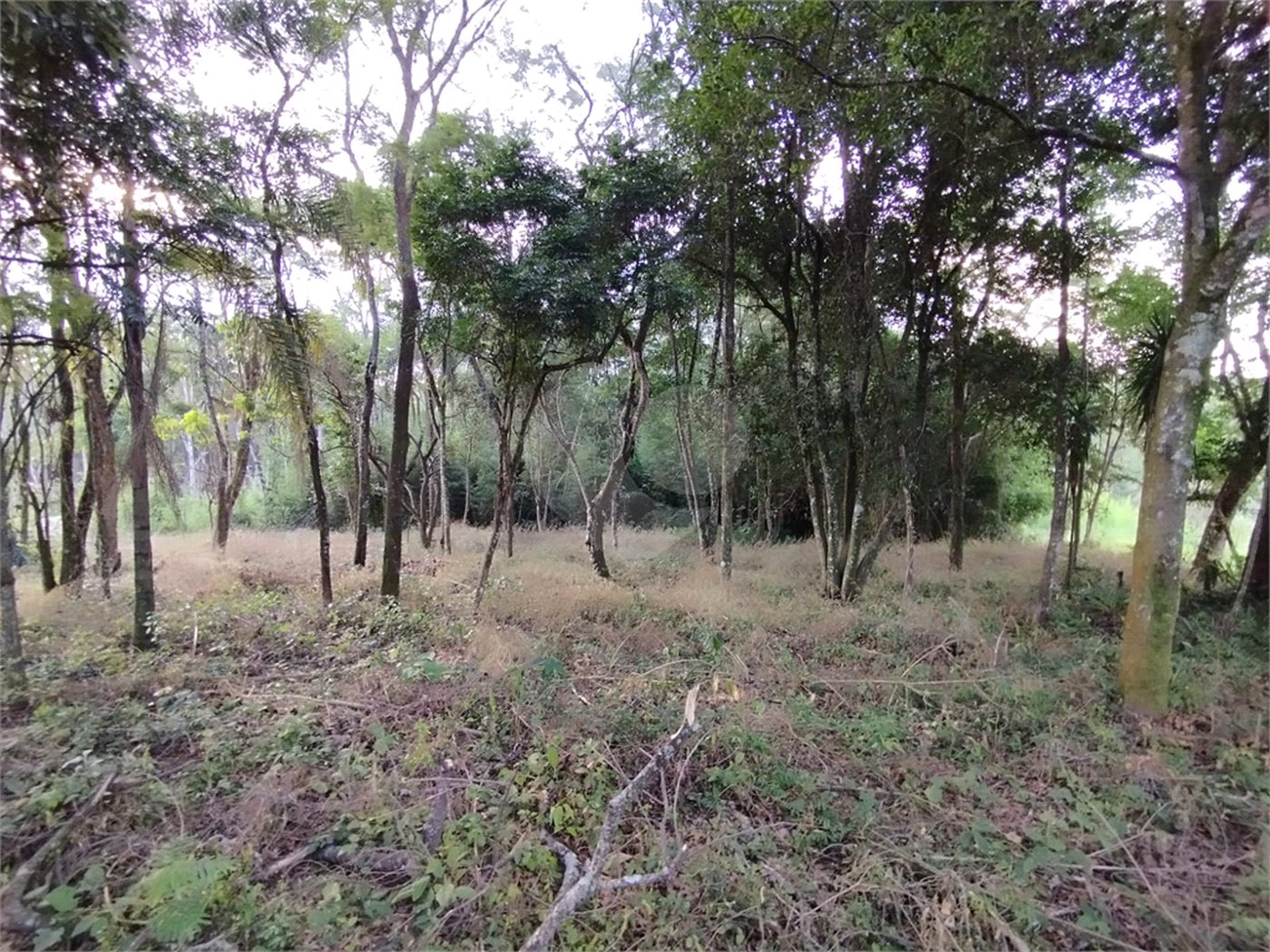 Terreno à venda em Chácaras do Guacuri, Itupeva, SP