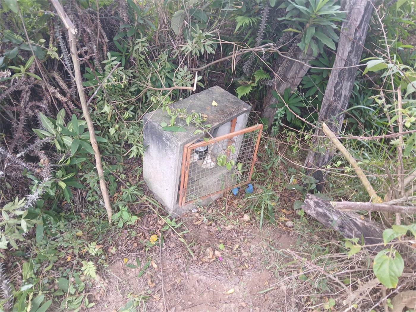 Chácara à venda em Bairro Biscoito Duro, Itapetininga, SP