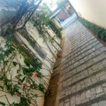 Casa à venda com 5 quartos, sendo 4 suítes, em Jardim Armênia, Mogi das Cruzes, SP