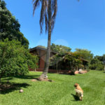 Chácara à venda com 3 quartos, sendo 1 suíte,  em Micai, Salto, SP