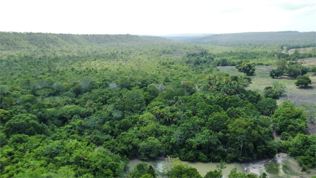 Fazenda à venda em Zona Rural, Balsas, MA