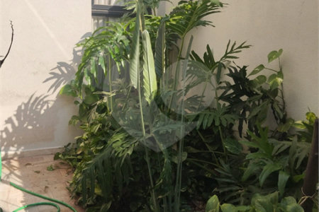 Casa à venda com 3 suítes em Jardim Salto Grande, Araraquara, SP