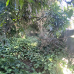 Terreno à venda em Vila Aurora (zona Norte), São Paulo, SP