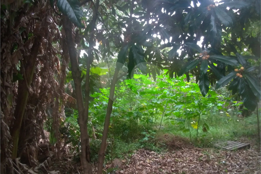 Terreno à venda em Casa Verde, São Paulo, SP