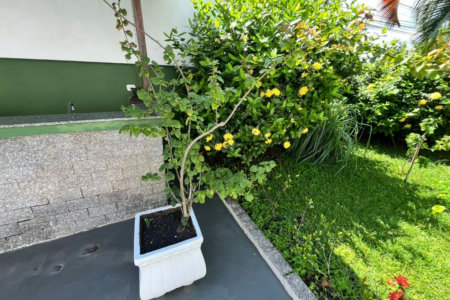 Apartamento à venda, 77 m² por R$ 530.000,00 - Jardim Las Palmas - Guarujá/SP