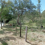 Área de Terra à venda em Monte Alegre, Vinhedo, SP